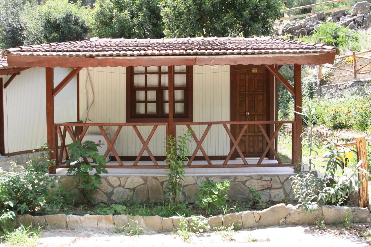 Eco Family Park Hotel Beskonak Quarto foto